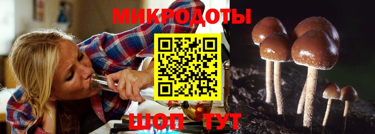 Иркутск  даркнет сайт  Вход с VPN  Галлюциногенные грибы мухоморы  Псилоцибиновые грибы Cubensis 